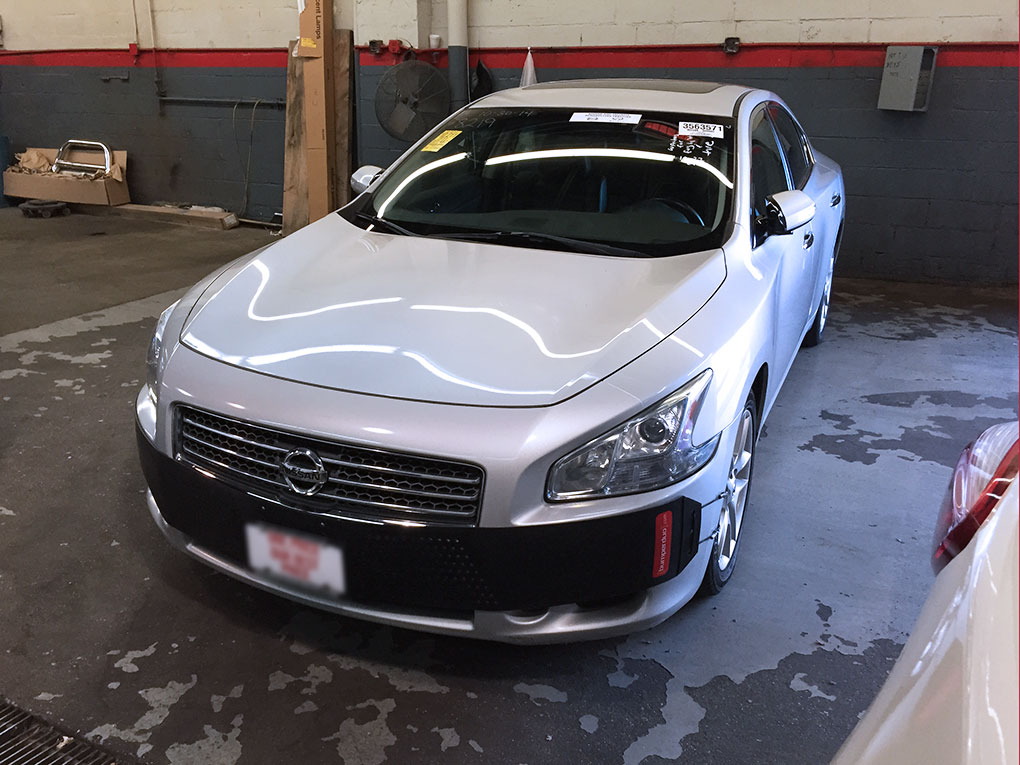 Bumperduo Front Bumper Protector for Nissan Maxima 